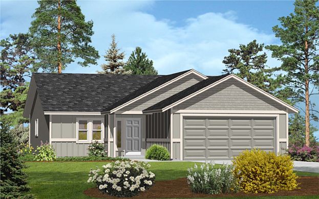 Alderwood