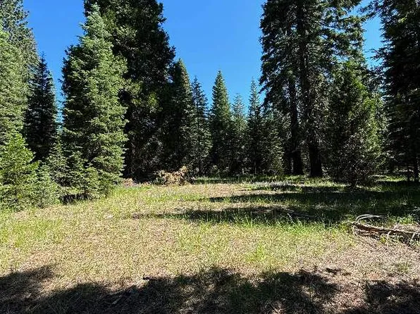 Block D Echo Ct Unit 4, McCloud, CA 96057
