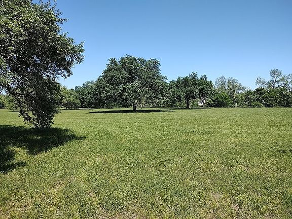 Live Oaks & Pecan Trees