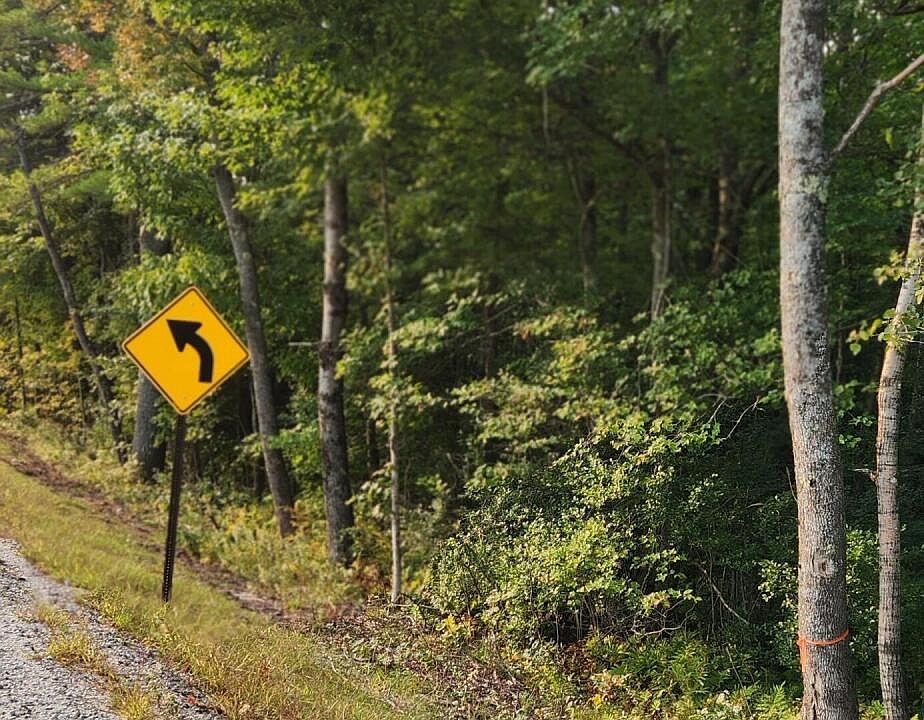 2nd image of Lot 35 -2 Back Road