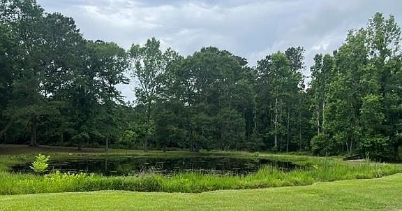 4th image of 377 County Road 3798