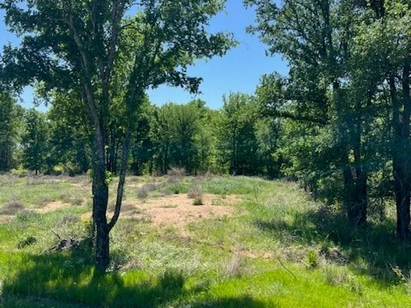 1008 Bermes Ct, Weatherford, TX 76087