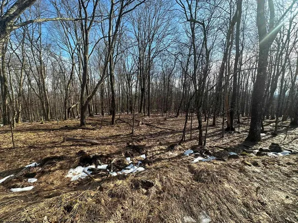 122 Woodbine Dr, Terra Alta, WV 26764