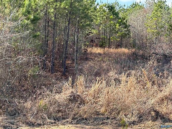 5th image of 4 & 5 Estes Rd