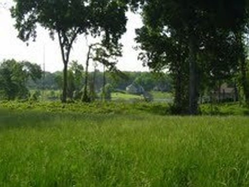1st image of Hiwonihi Trl