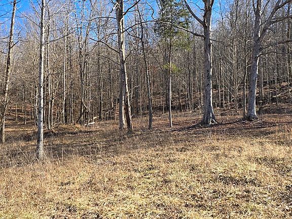 4th image of 28-31 32 Bear Hollow Ln