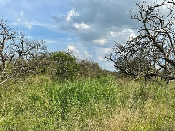 6876 5th Rd, Labelle, FL 33935