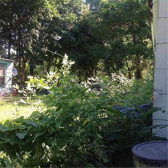 1st image of 2911 SW Jarboe St