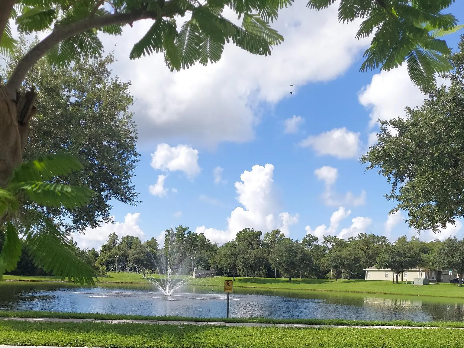 Canoe Creek Falls Dr, Orlando — Photo 2