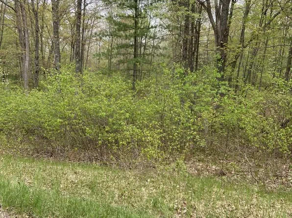 Lt0 STEVENSON ROAD, Wausaukee, WI 54177