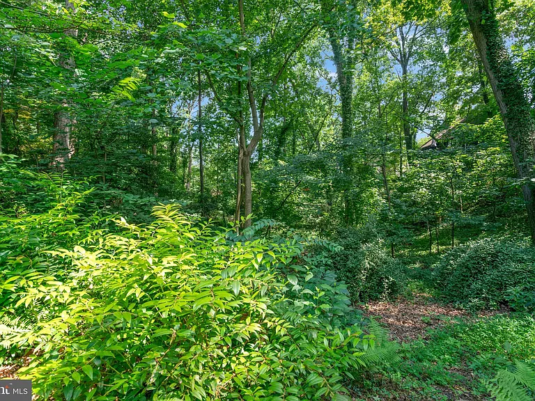 1715 Hollinwood Dr — Photo 57