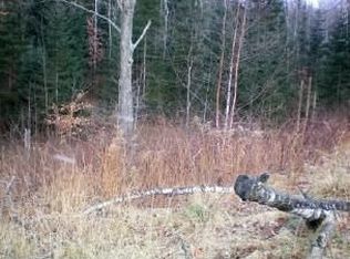 14773 McCabe Rd, Lakewood, WI 54138