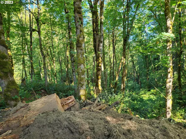 Hillcrest Dr, Scappoose, OR 97056