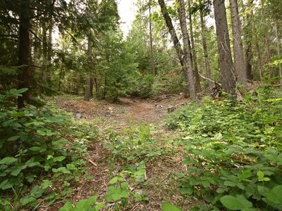 Slalom Ln, Pollock Pines, CA, 95726