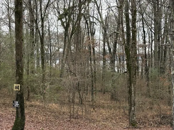 2160 Bruton Branch Rd Lot 4 & 5, Savannah, TN 38372