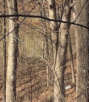 4th image of 1211 Private Road 1381