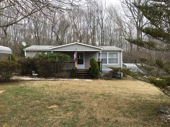 19 Blackberry Ln, Candler, NC 28715