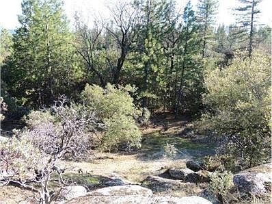 Clearing near center of property