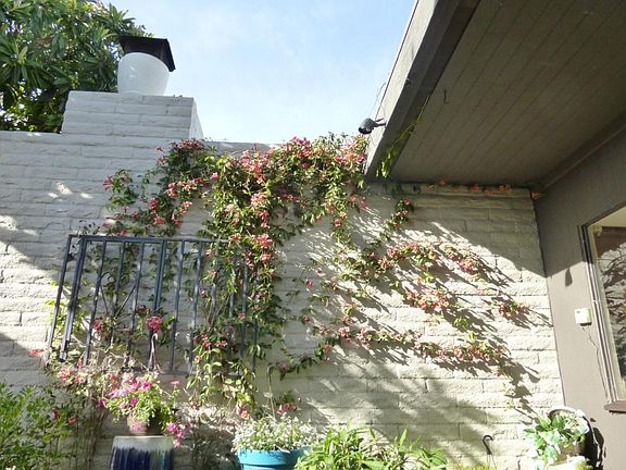 3rd image of 2074 N Calle De Vida