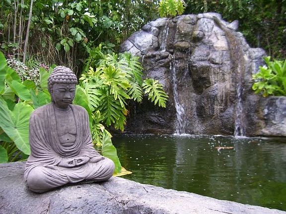 Tranquil Waterfall and Koi Pond by the hot tub.