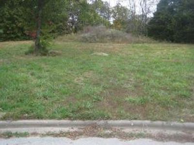 1575 Lacy Spring Drive, Marshfield, MO, 65706
