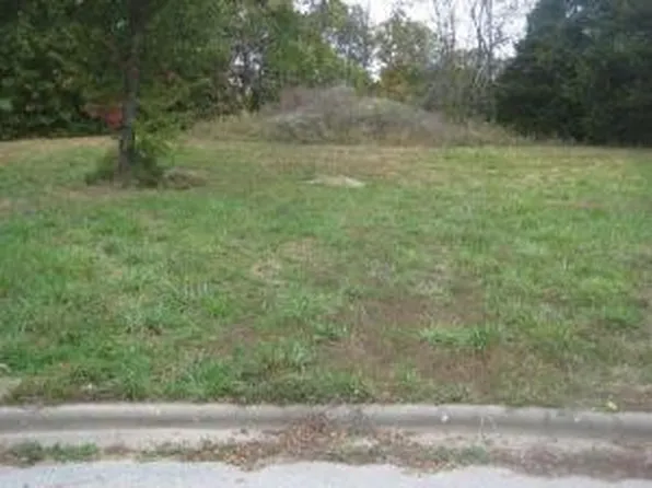 1575 Lacy Spring Drive, Marshfield, MO 65706