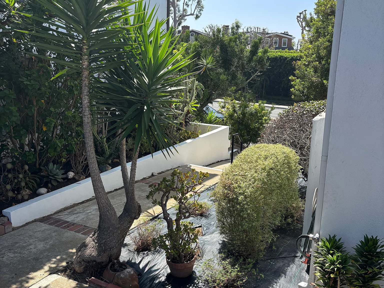 2 bed, 1.5 bath, 900 sqft, $3,995 — Photo 3