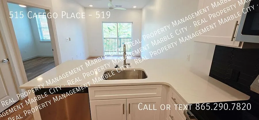 Brand-New Luxury Condo in the Heart of Knoxville — Photo 3