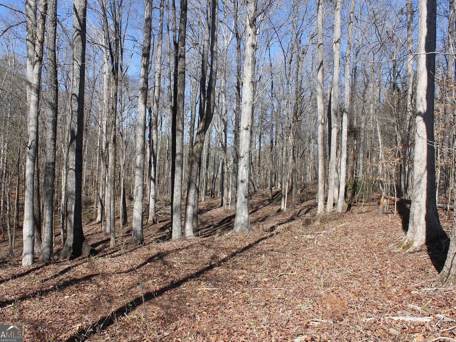 0 Lower Simmons Rd, Macon, GA 31220 Zillow