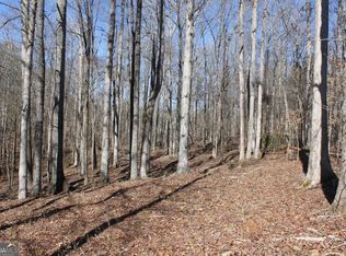 0 Lower Simmons Rd, Macon, GA 31220