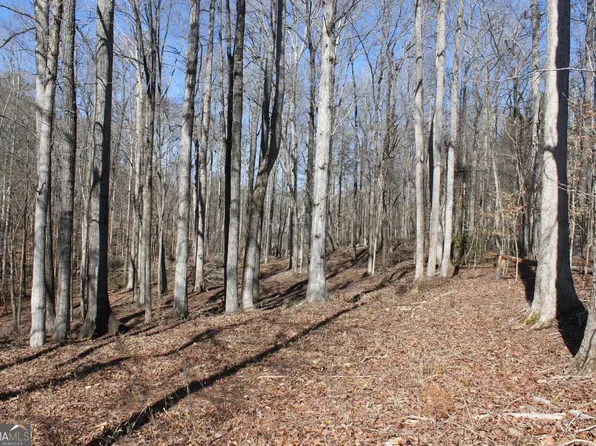 0 Lower Simmons Rd, Macon, GA 31220