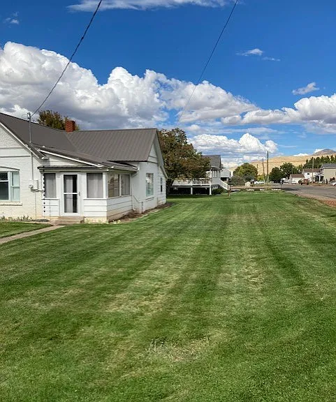 W 100 N — Photo 3
