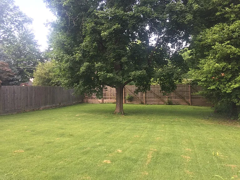 Large fenced-in yard