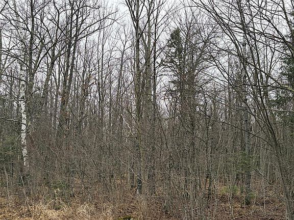 4th image of ON Hofer Road