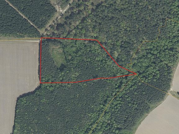 3rd image of 141 Tall Cotton Road