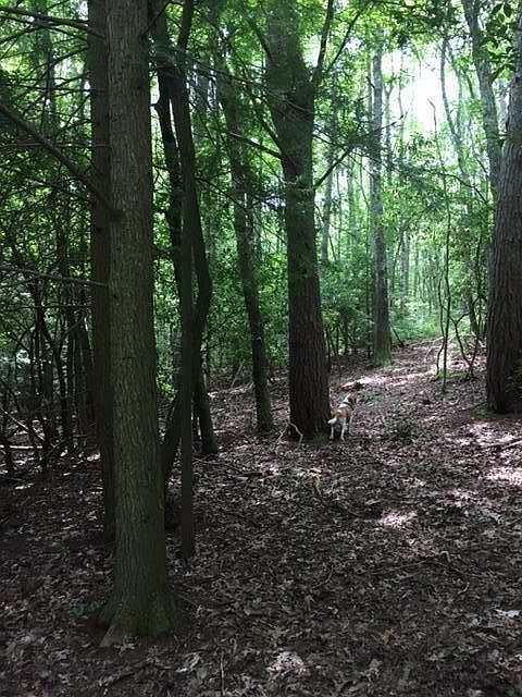 1st image of 2590 Boston Branch Cir #18