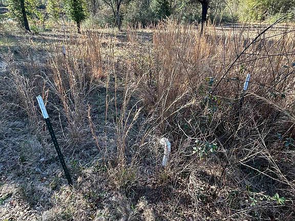 4th image of 9550A Sand Ridge Rd