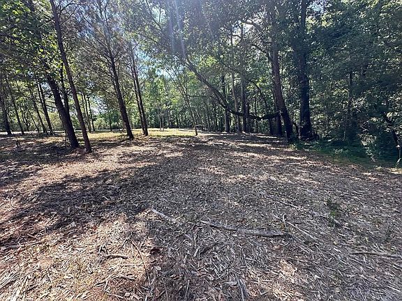 3rd image of 931 County Road 1242 Lot 3