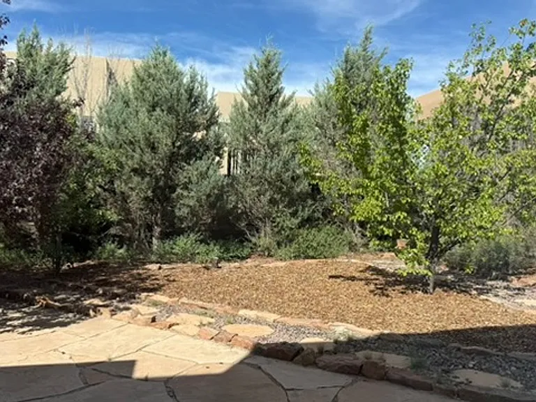 4309 Juniper Hill Ln — Photo 45