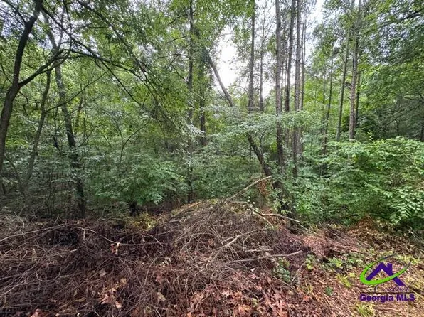 172 Waters Point, Lizella, GA 31052