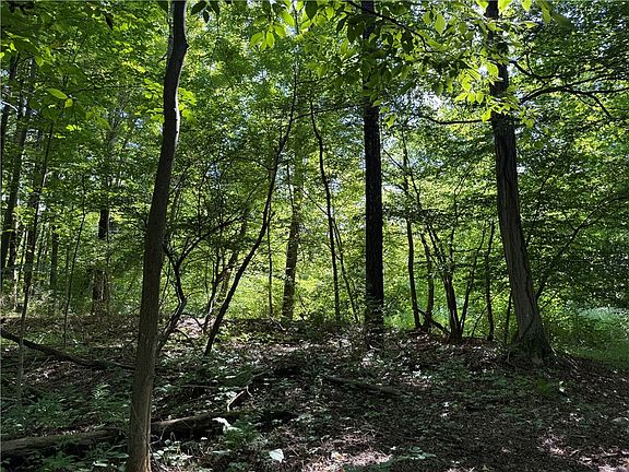 5th image of 402 Brooktondale Rd Lot 39
