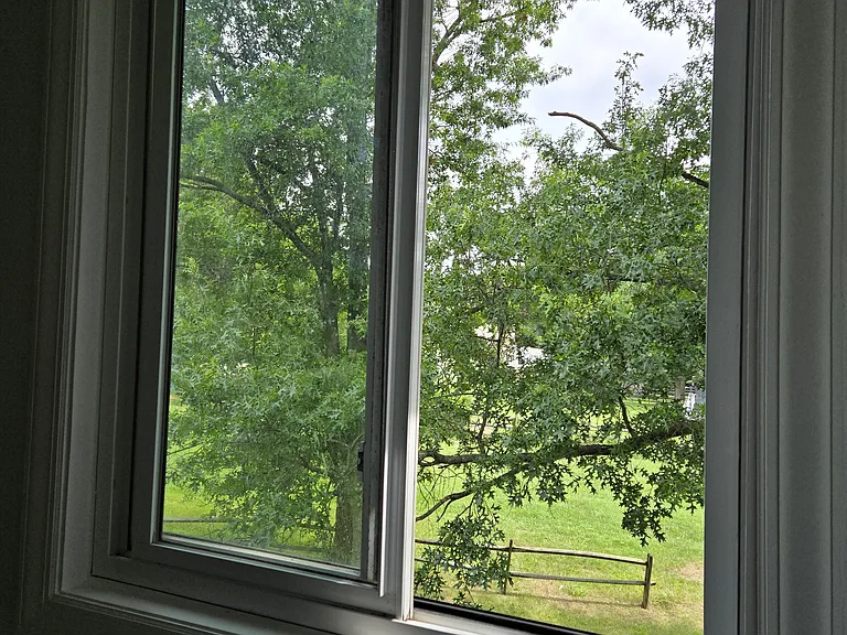 Bedroom #1 - window