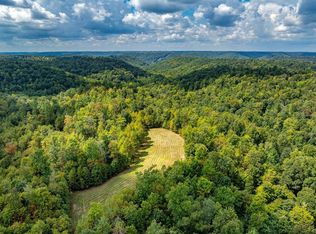 1335 Greenbrier Rd, Wallingford, KY 41093