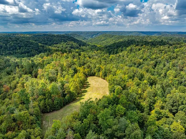 1335 Greenbrier Rd, Wallingford, KY 41093