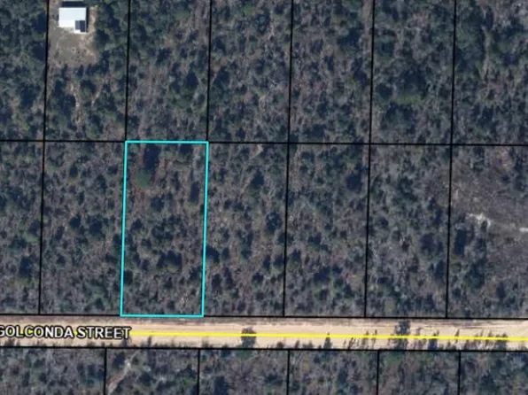 0 Golconda St, Alford, FL 32420