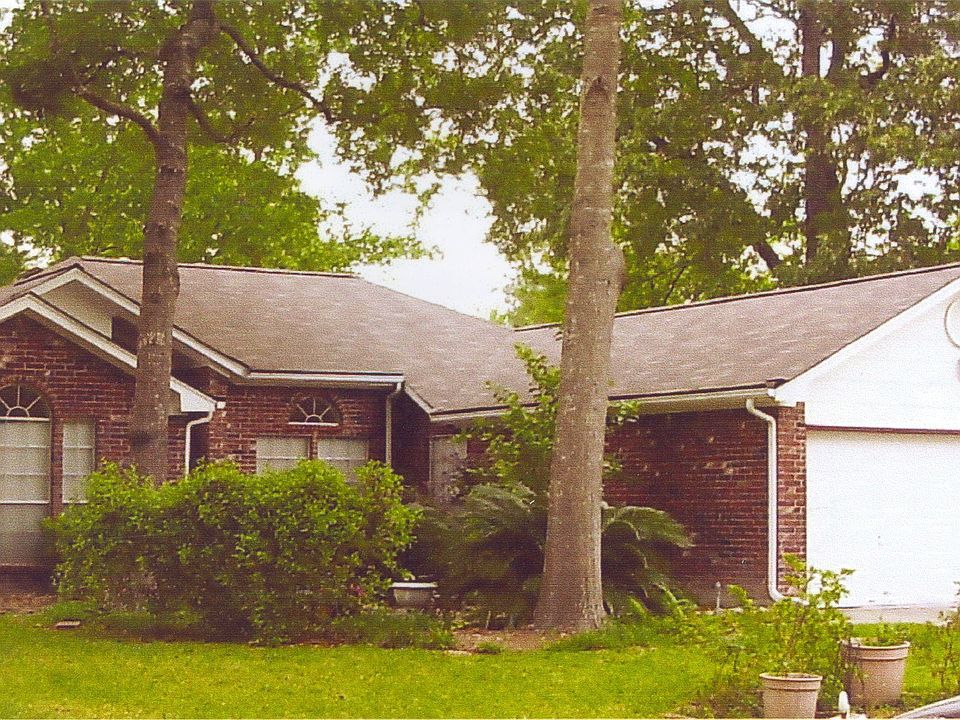 Lots Of Trees & Plants