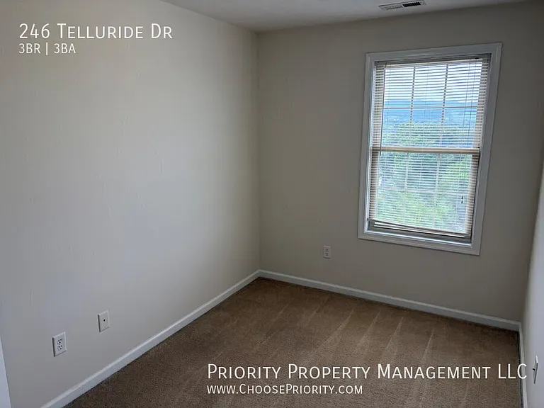 246 Telluride Dr — Photo 13