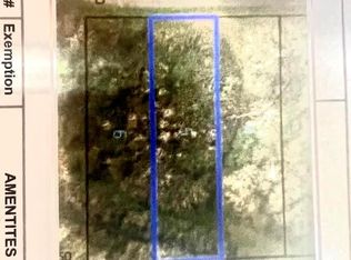 0 S Holland St, Slocomb, AL 36375