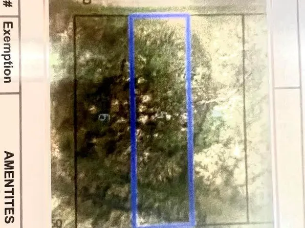 0 S Holland St, Slocomb, AL 36375