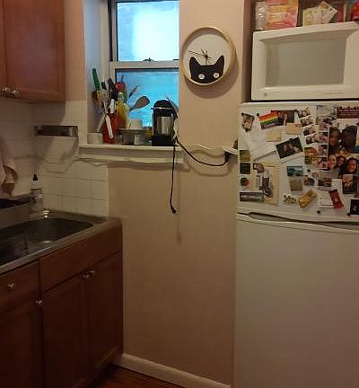 5th image of 317 W 21st St #4DF